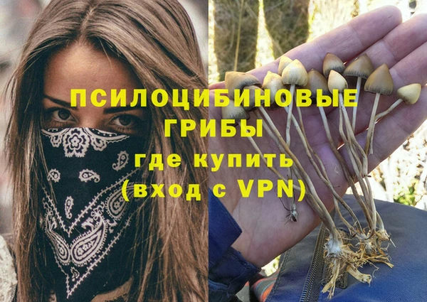 спиды Белокуриха