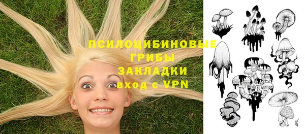 крисы Белоозёрский