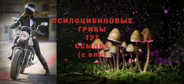 таблы Беломорск