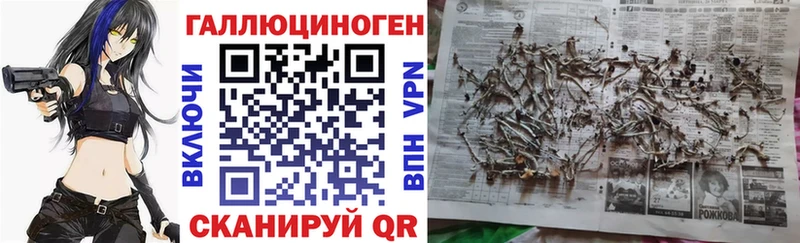 наркота  Луховицы  Псилоцибиновые грибы ЛСД 